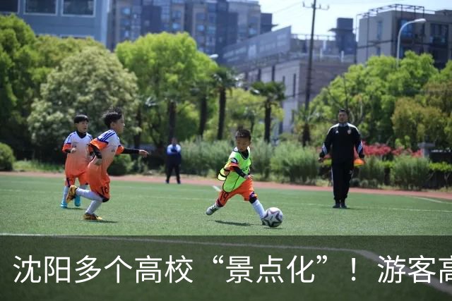 沈阳多个高校“景点化”！游客高兴，学生却懵了...